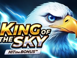 King of the Sky Hit the Bonus game cover